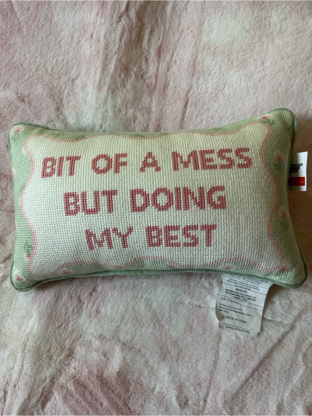 'Bit of a Mess But Doing My Best' Decorative Pillow - Pink & Green NWT